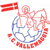 AC Vallemaggia crest
