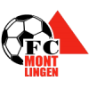 FC Montlingen crest
