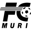 FC Muri crest