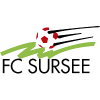 FC Sursee crest