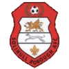 Solihull Borough crest