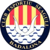 Seagull W crest