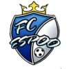 FC Espoo crest