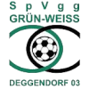 Deggendorf crest