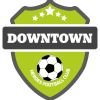 Downtown Heroes crest