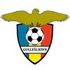 Gullfalkinn crest