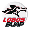 Lobos BUAP W crest