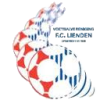 FC Lienden crest