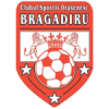 Bragadiru crest