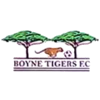 Boyne Tigers crest