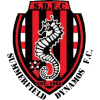 Summerfield Dynamos crest