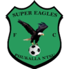 Super Eagles crest
