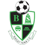 Birtley Town crest