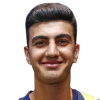 Demir Y.