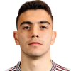 Ozcan Y.